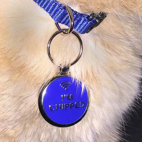 Why Your Pet's Microchip Might Not Work